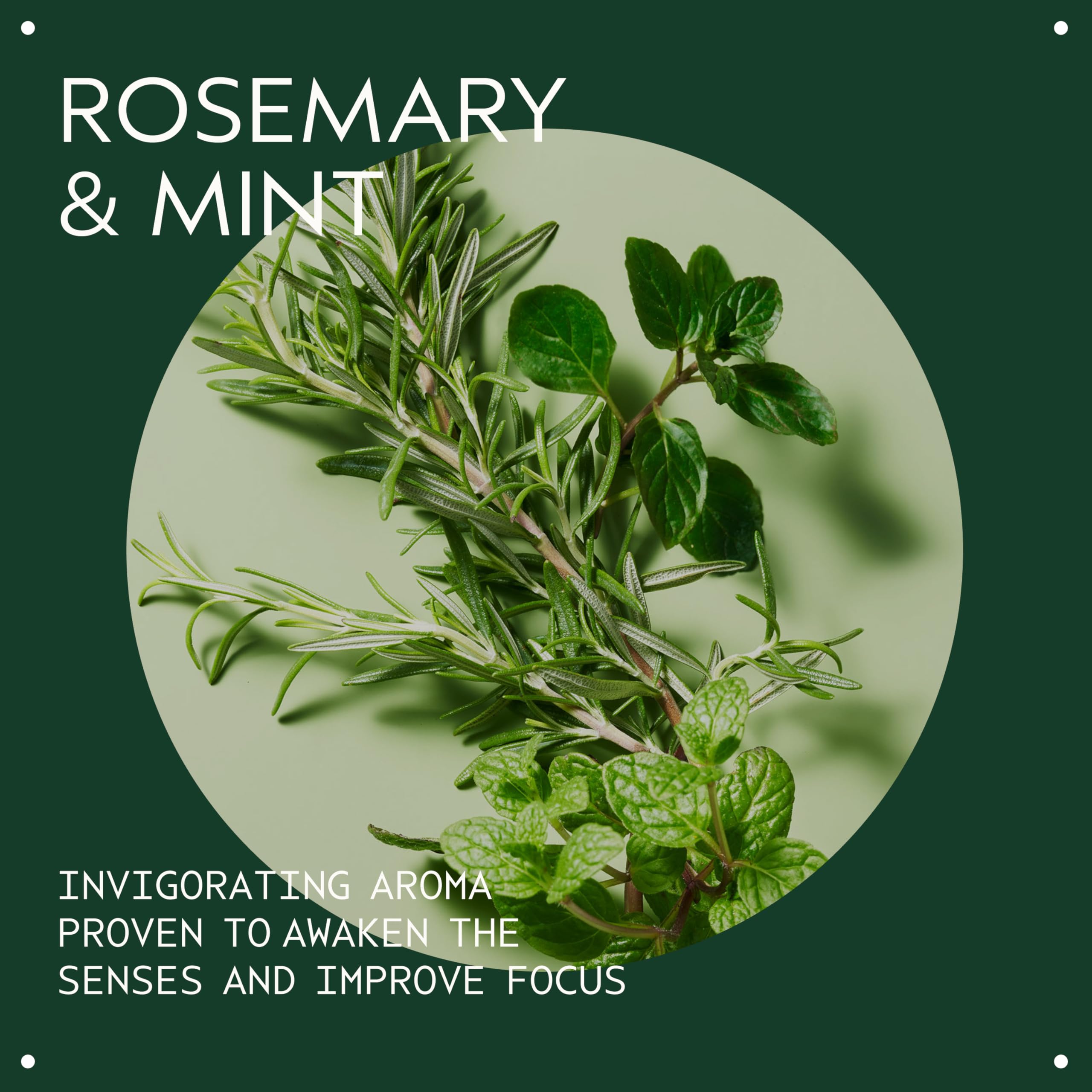 Aveda Rosemary Mint Vegan Soy Wax Candle | Invigorating Aroma of Certified Organic Peppermint, Spearmint, Rosemary | 100% Naturally Derived*