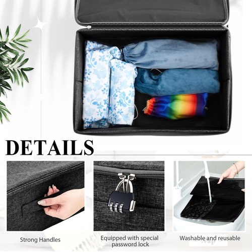 Briwooody Discreet Lockable Toy Bag Storage Organizer Toy Bag Storage Bins Case with Zipper Lid for Women and Men Clothes Container(Black,15 x 10 x 6.3 Inch)