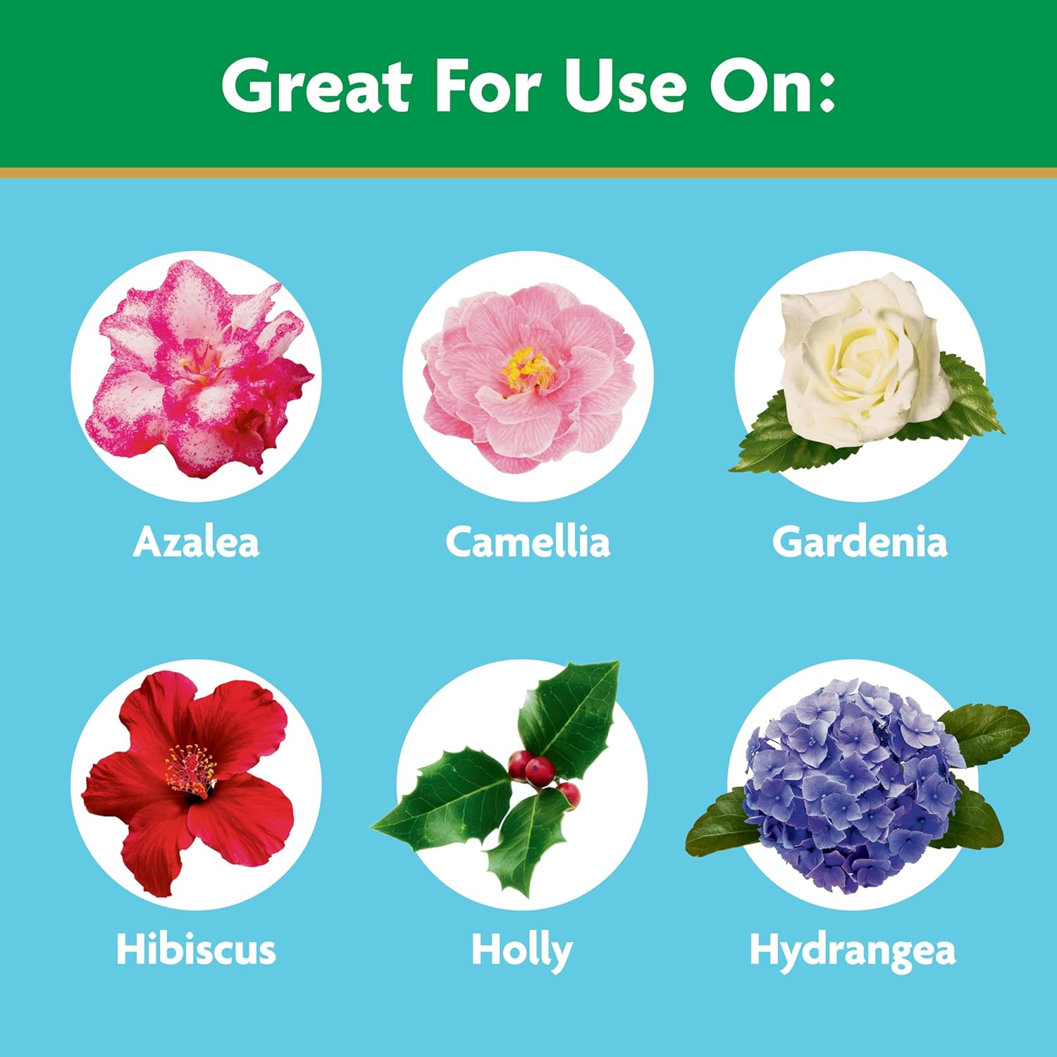 Miracle-Gro Water Soluble Plant Food - Fertilizer for Azaleas, Camellias & Rhododendrons, 5 lb.