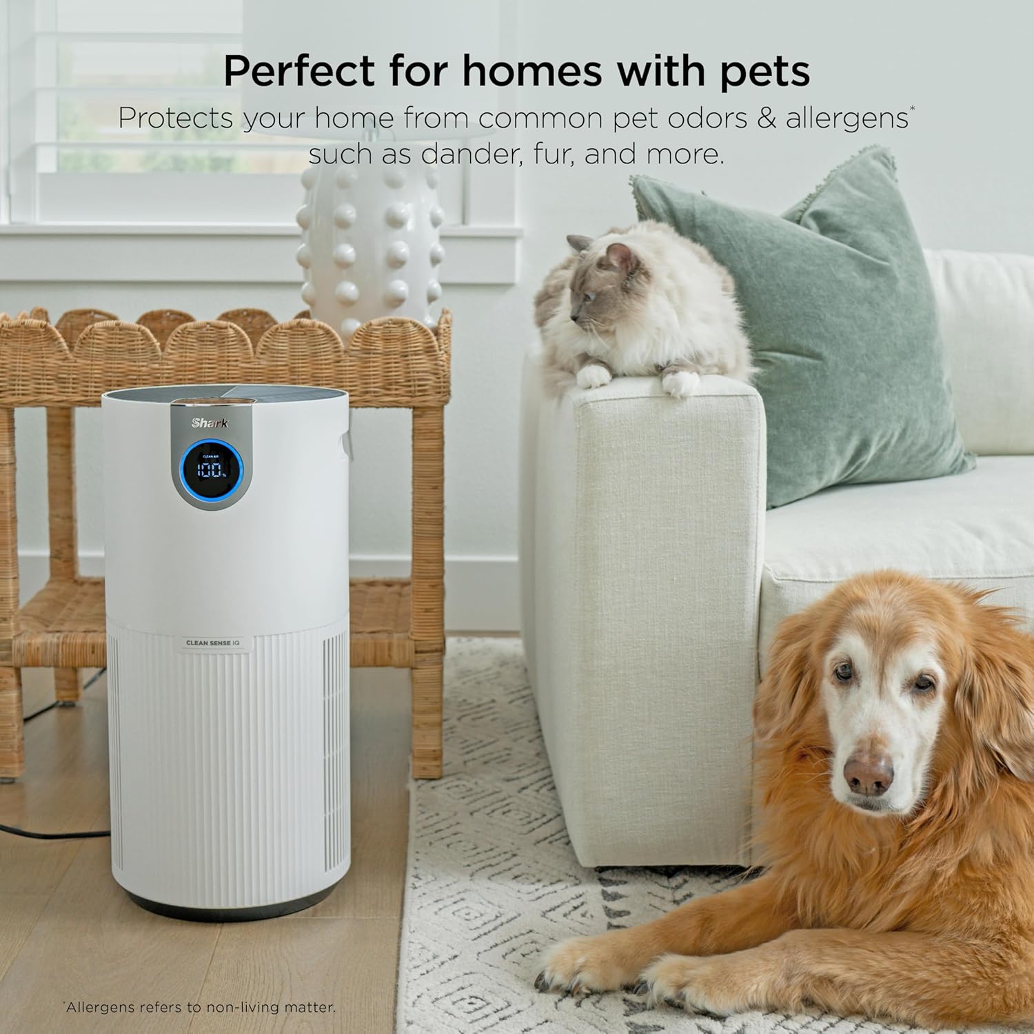Shark Air Purifier - HEPA Filter with Clean Sense Technology for Large Rooms up to 1000 Sq Ft | Captures 99.98% of Allergens