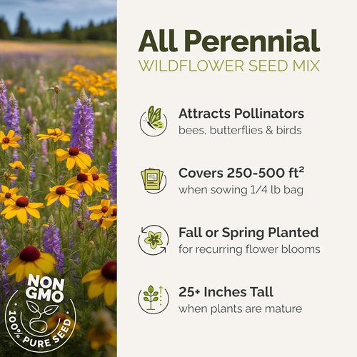 Eden Brothers Wildflower Mixed Seeds - 120,000+ Perennial Seeds | Attract Pollinators, 1/4 lb, Zones 3-10