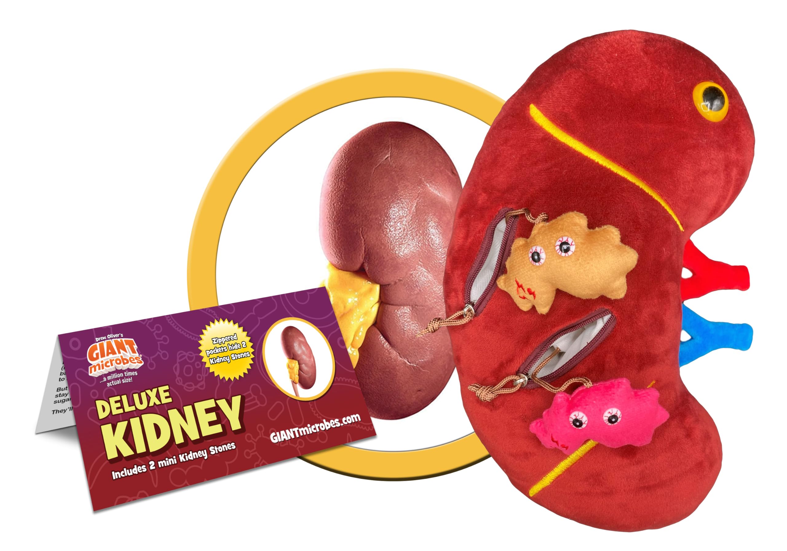 GIANTmicrobes Deluxe 12" Kidney Plush with Kidney Stones, Kidney Stuffed Animal, Kidney Transplant Gifts, Kidney Donor Gifts, Kidney Pillow, Urology Gifts, Nephrology Gifts, Dialysis Nurse Gifts