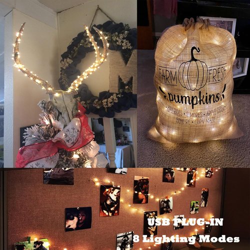 Beingreat USB Fairy Lights, 2 Pack 33Ft 100 LED, Flexible Silver Wire Mini String Lights for Bedroom Wedding Christmas Decor, DIY Crafting, Warm White