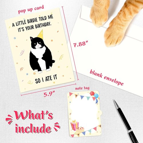 4BO Black Cat Pop-Up Birthday Card - Funny 3D Greeting Card for Cat Lovers | Unique Gift for All Ages