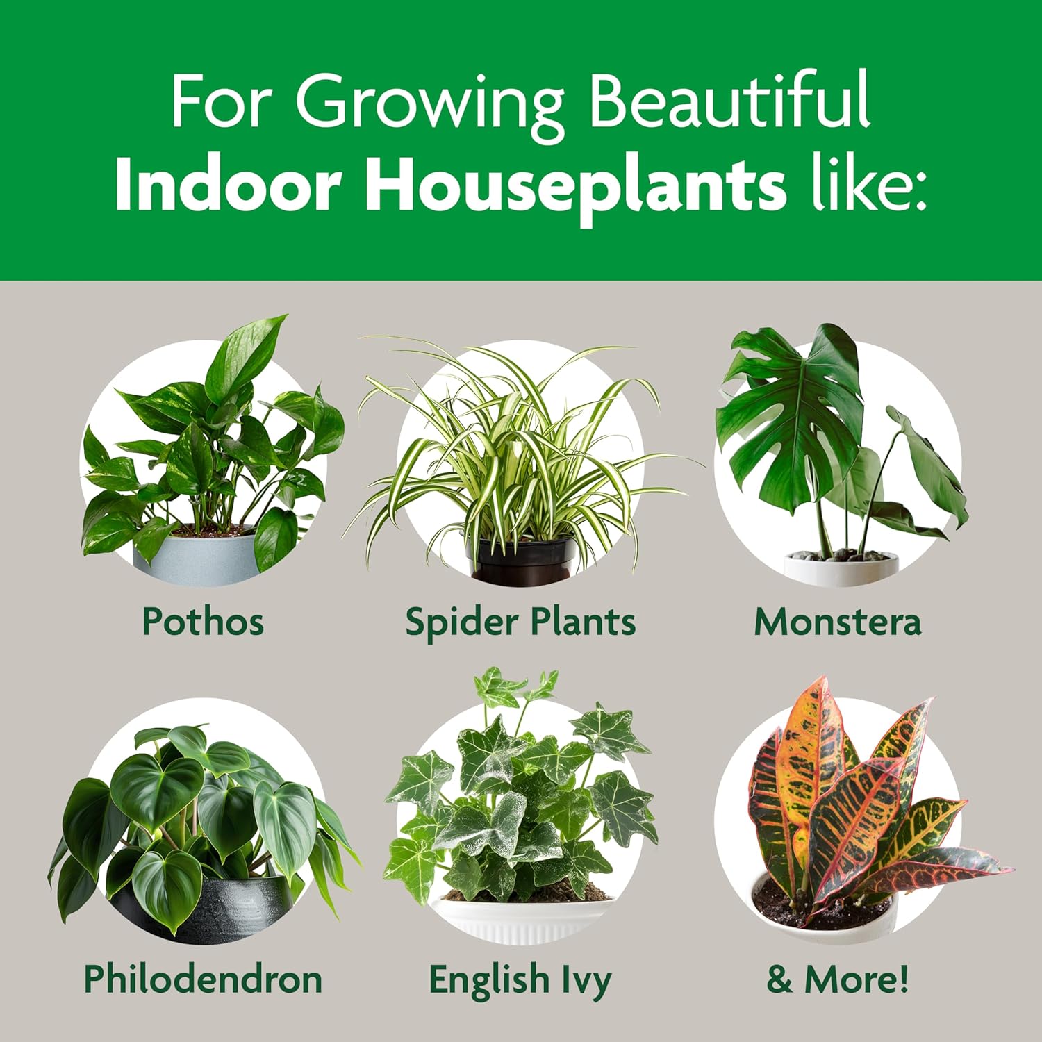 Miracle-Gro Indoor Potting Mix - Perfect Blend for Houseplants | Feeds for 6 Months, 6 qt., 2-Pack