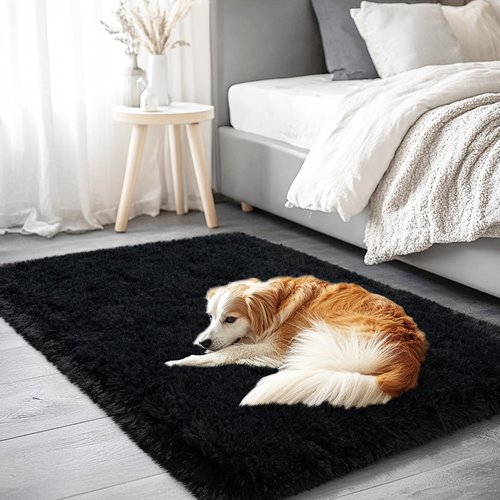 AAFKK Black Area Rug for Bedroom, 2x3 Small Rugs for Living Room Nursery Kids Room Dorm Home Decor Aesthetic, Fluffy Shaggy Rug with 4 Anti-Slip Carpet Tapes