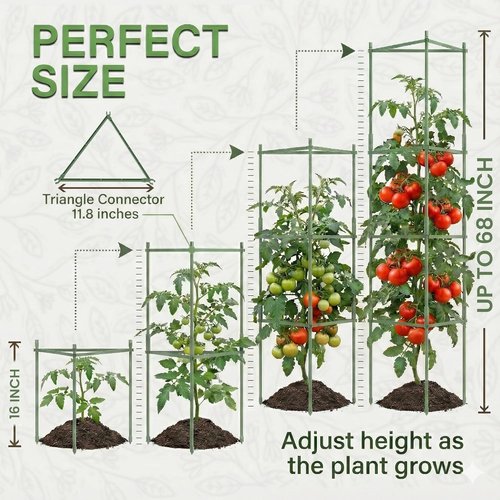 K-Brands Tomato Cage - Extra Tall Plant Support Trellis for Garden & Pots | 3 Pack (Up to 68 Inches)