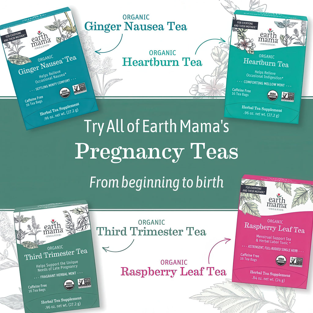 Earth Mama Organic Red Raspberry Leaf Tea | Labor Prep & Menstrual Support Herbal Tea, Pregnancy & Postpartum Care Recovery | 32 Teabags | Caffeine Free & Non-GMO
