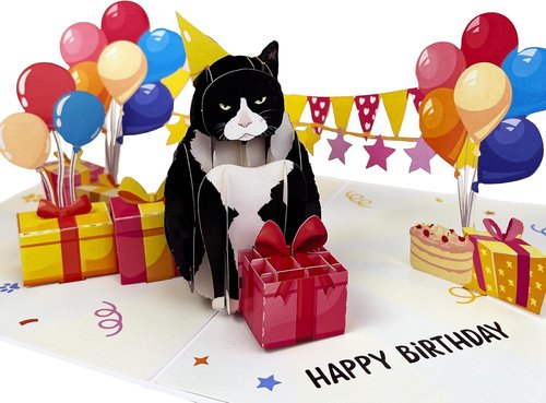 4BO Black Cat Pop-Up Birthday Card - Funny 3D Greeting Card for Cat Lovers | Unique Gift for All Ages