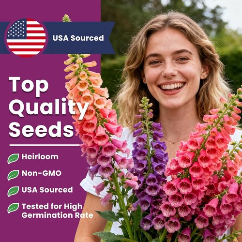 Foxglove Seeds - Perennial Mixed Colors, 200,000+ Bulk Pack for Easy Home Gardening | Attract Hummingbirds & Bees