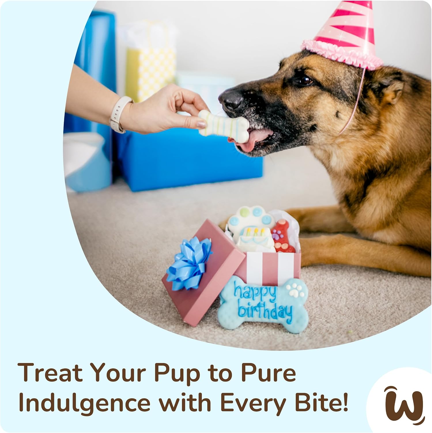 Wufers Birthday Boy Cookie Box - Gourmet Dog Treats Made with Locally Sourced Ingredients (Blue)