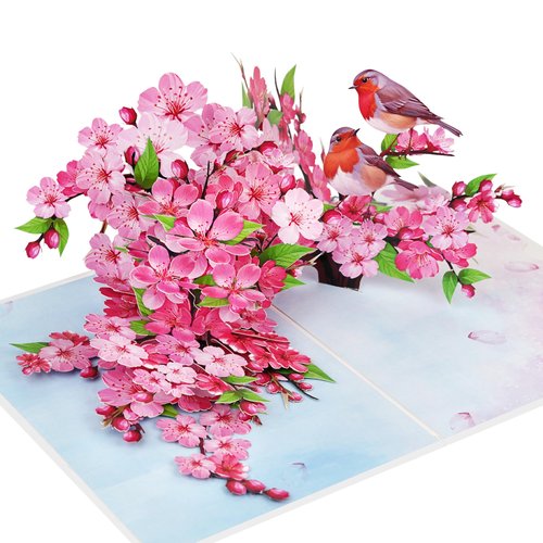 PQ Bees Robins Couple w Cherry Blossom Pop Up Anniversary Cards, 6x8in Wedding Anniversary Card, Valentines Day Card, 3D Gift Card for Her, Him, Husband, Wife (Cherry Blossom Robins Couple)