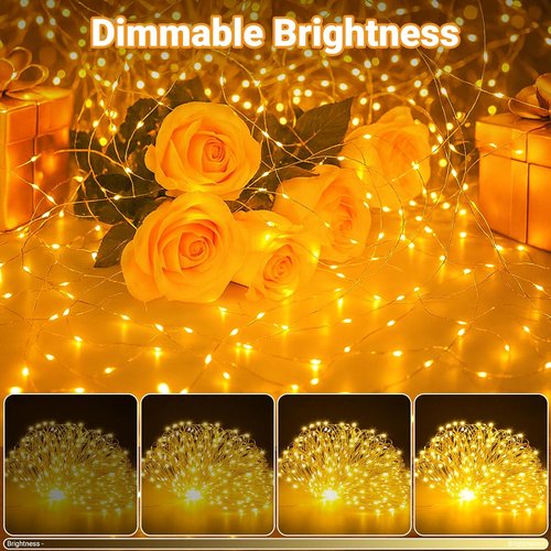 Litogo Fairy Lights - 33FT 100LED Battery Operated String Lights with Timer | 8 Dimmable Modes for Indoor Decor