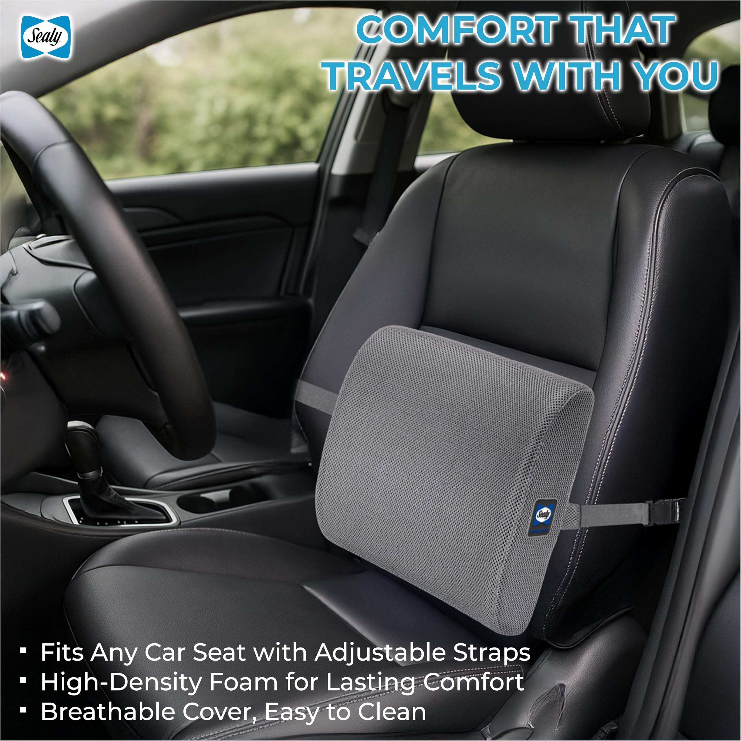 Sealy Ergonomic Lumbar Support Pillow for Office Chair and Car Seat - Memory Foam Back Support Lumbar Pillow, Premium Cushion Chair Support for Lower Back Pain Relief and Versatile Use (Gray)