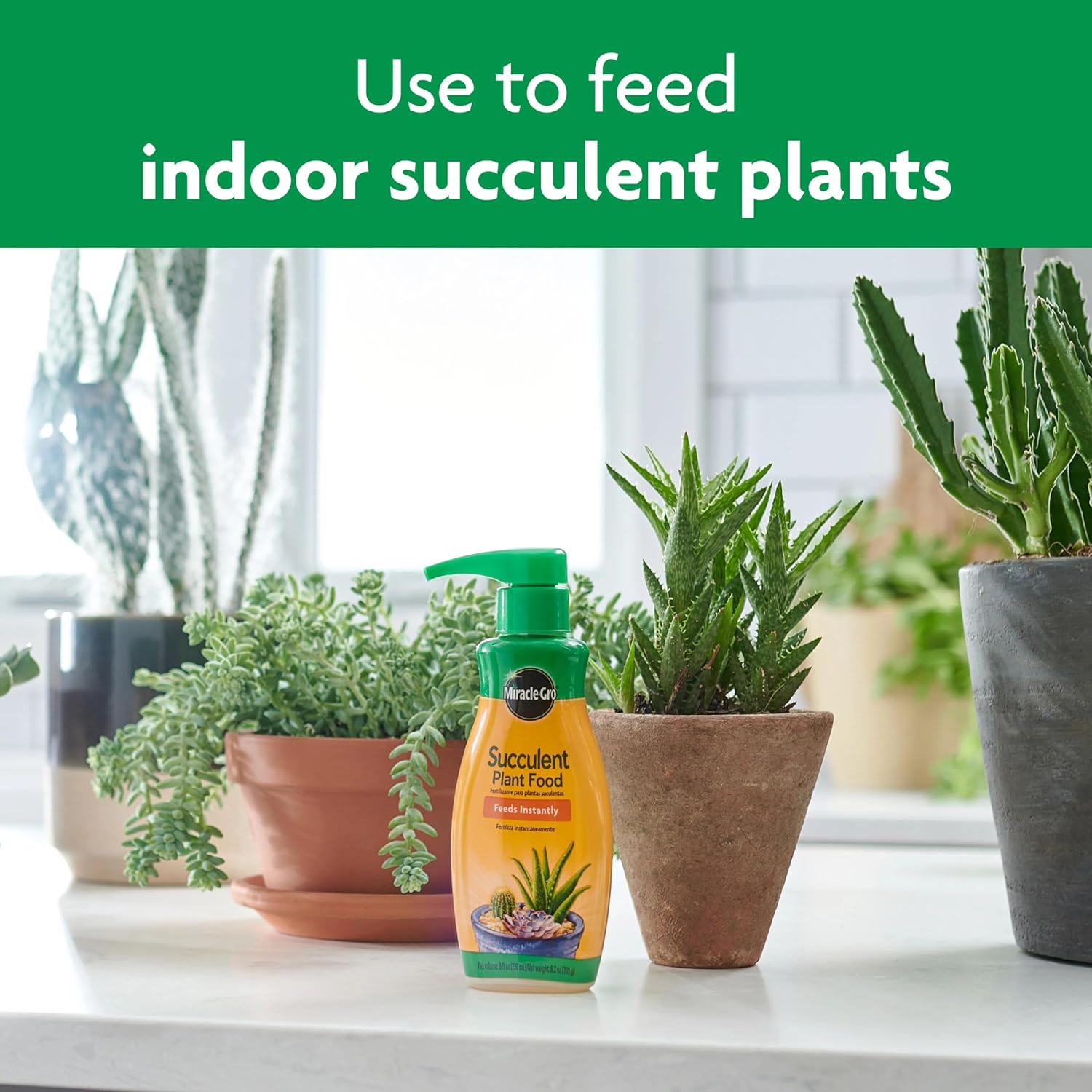 Miracle-Gro Succulent Plant Food | Liquid Fertilizer for Jade & Aloe - 8 fl. oz. (2 Pack)