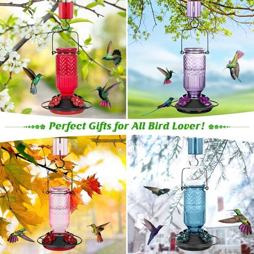 FEED GARDEN Glass Hummingbird Feeder - 16 oz Outdoor Feeder with Bee-Proof Ports & Easy Clean Design, Purple