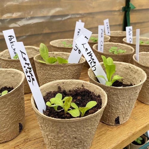 Dalzom® Biodegradable Peat Pots - 60Pcs 3.1” Seedling Pots with Drainage Holes & Labels