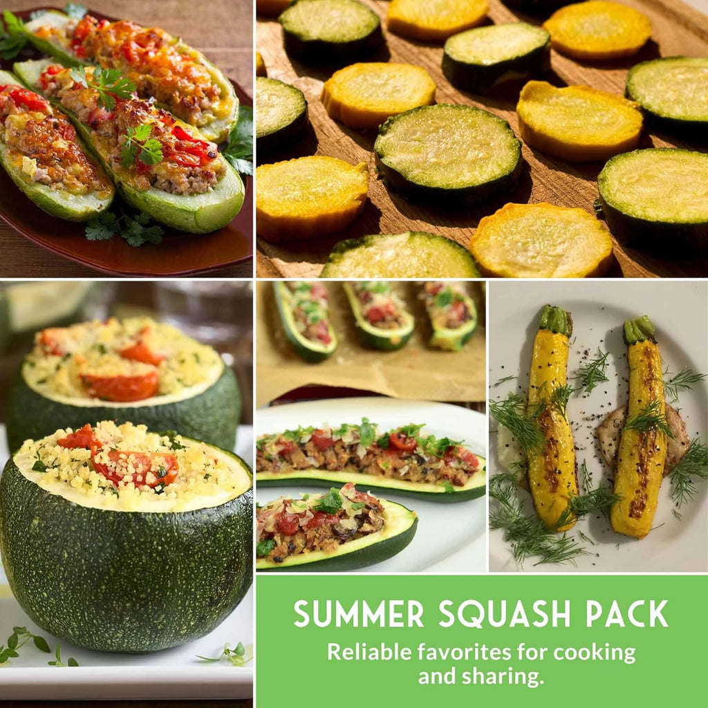 Survival Garden Seeds - Zucchini & Squash Collection | Non-GMO Heirloom Seeds Assortment - Golden, Round, Grey & Black Beauty