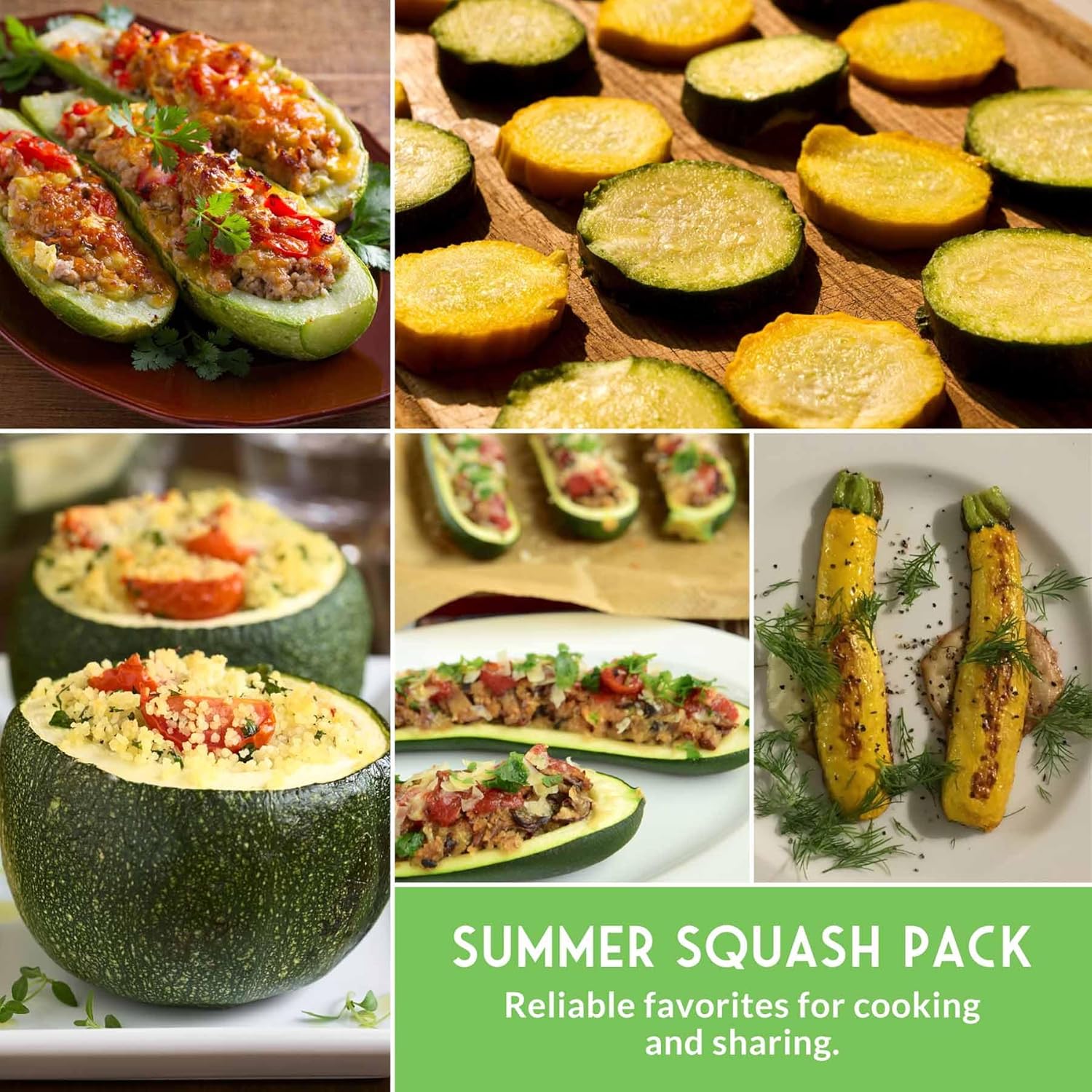 Survival Garden Seeds - Zucchini & Squash Collection | Non-GMO Heirloom Seeds Assortment - Golden, Round, Grey & Black Beauty