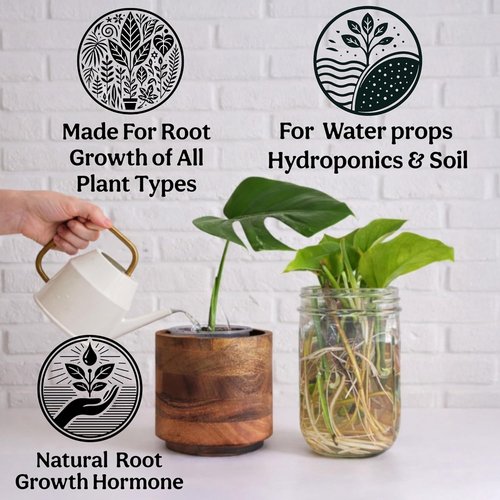 Ecklonia Maxima Organic Liquid Kelp & Seaweed Extract - Root Growth Hormone for Hydroponics & Soil | 8oz