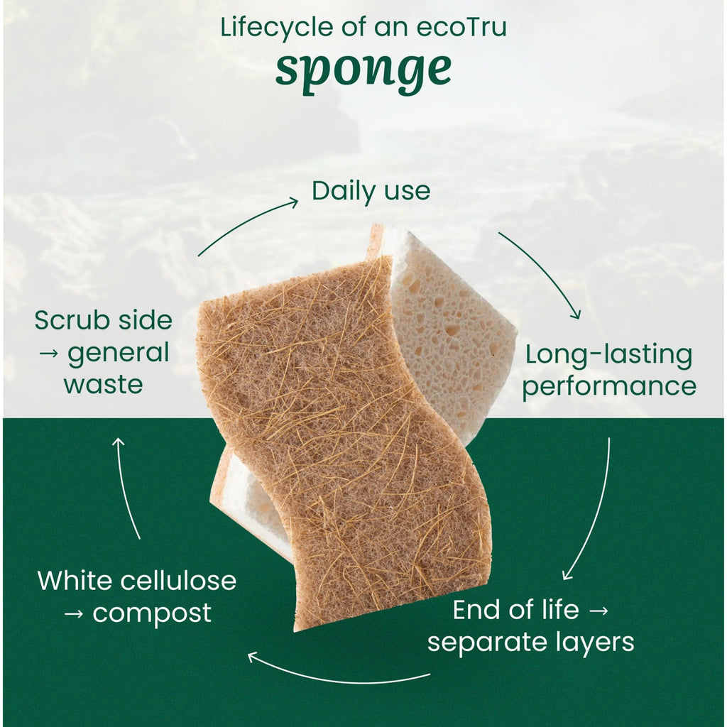 6 Pack Natural Kitchen Sponges, Compostable White Cellulose & Organic Coconut Scrubber Sponge for Washing Dishes, Kind Eco Friendly Non Toxic & Biodegradable Dishwashing Sponges