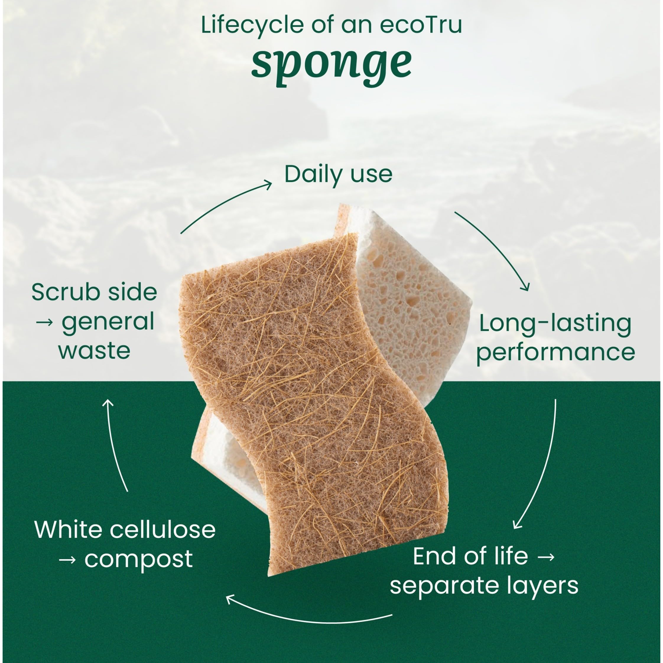 6 Pack Natural Kitchen Sponges, Compostable White Cellulose & Organic Coconut Scrubber Sponge for Washing Dishes, Kind Eco Friendly Non Toxic & Biodegradable Dishwashing Sponges