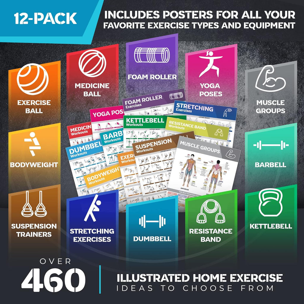 12-Pack Laminated Workout Posters by [Brand Name] - Essential Exercise Charts for Home Gym | Dumbbell, Yoga, Kettlebell & More