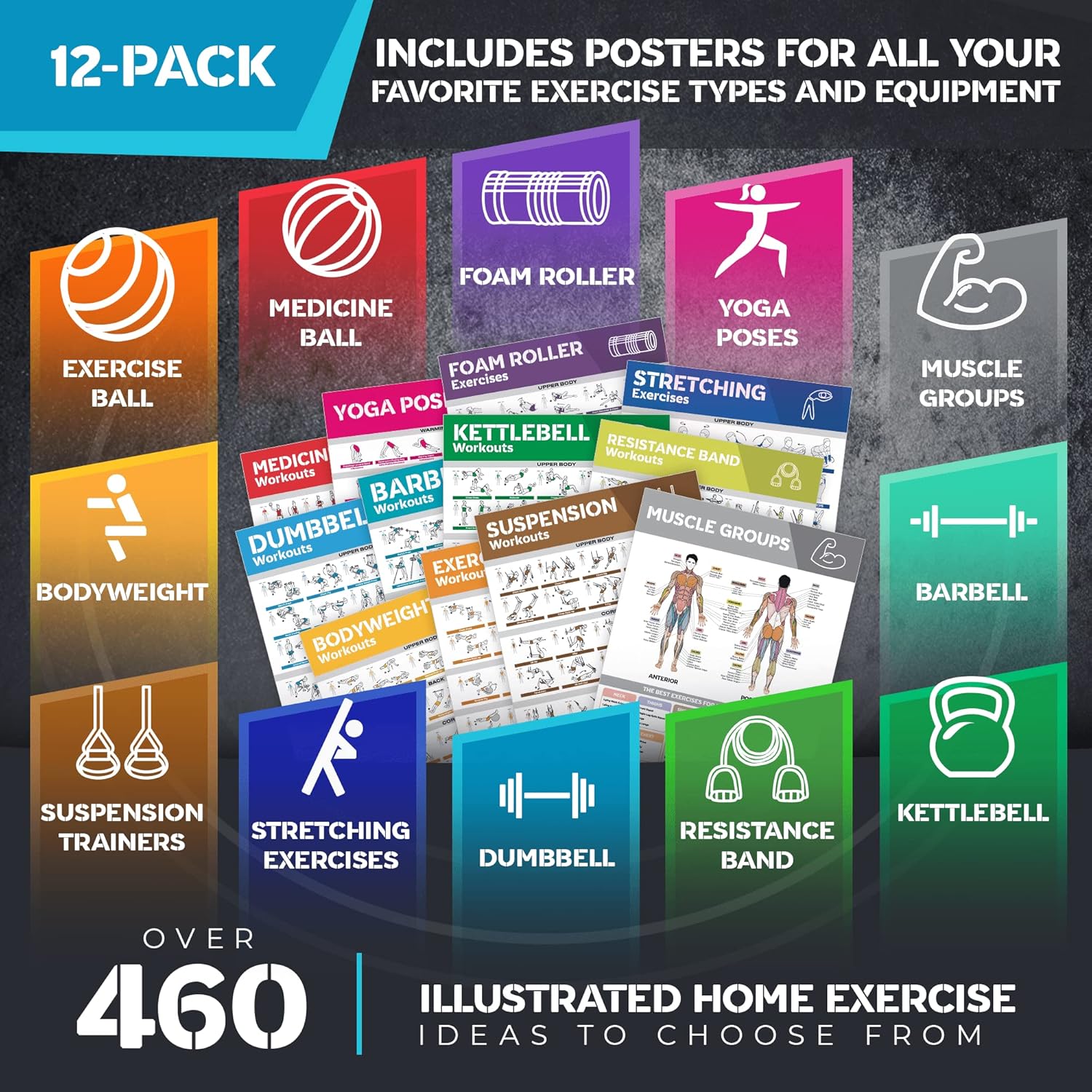 12-Pack Laminated Workout Posters by [Brand Name] - Essential Exercise Charts for Home Gym | Dumbbell, Yoga, Kettlebell & More