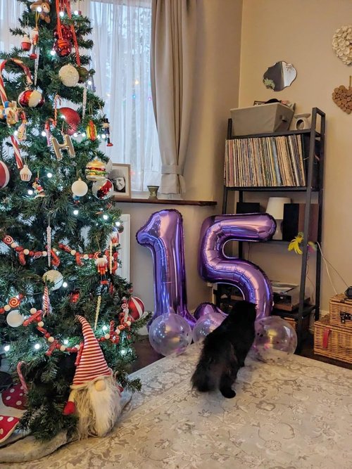 Happy 26th Birthday Balloon - Purple Foil Number 26 | 40-Inch Large Balloon for Celebrations