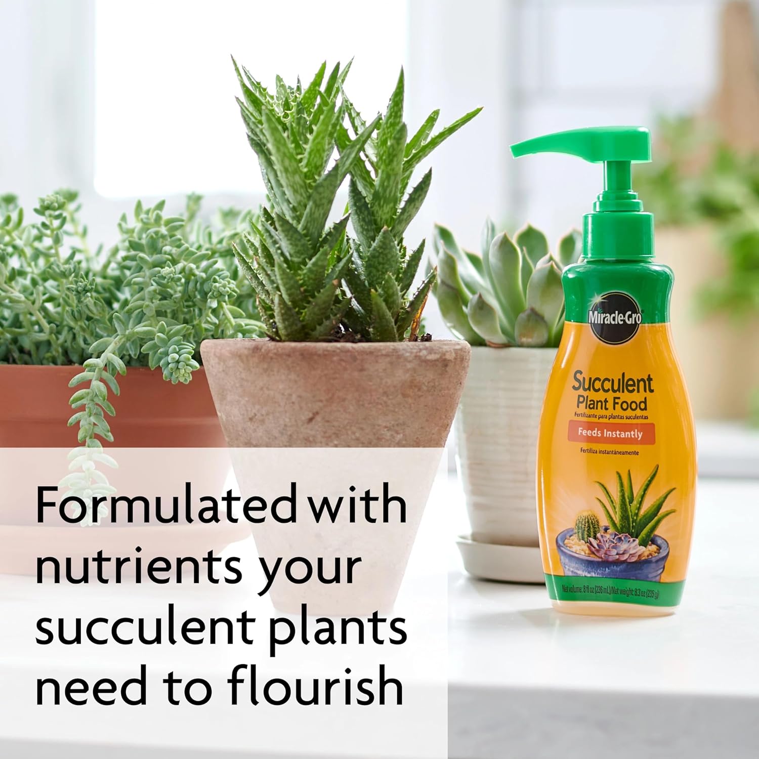 Miracle-Gro Succulent Plant Food | Liquid Fertilizer for Jade & Aloe - 8 fl. oz. (2 Pack)