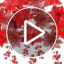 Artificial Christmas Poinsettia Flowers Set - 30 Pcs, Red, 3 Styles with Holly Berry Stems and Clips