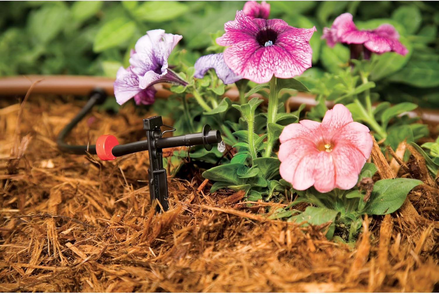 Rain Bird LNDDRIPKIT Drip Irrigation Kit - Efficient Landscape & Garden Watering System with Drippers & Micro-Sprays