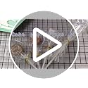 Colorful Cake Pop Sticks and Wrappers Kit - 300 PCS Set