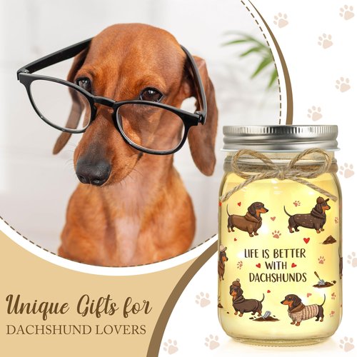 JoycuFF Dachshund Gifts for Women Dachshund Decor Weiner Dog Lover Gifts for Women Mason Jar Night Light