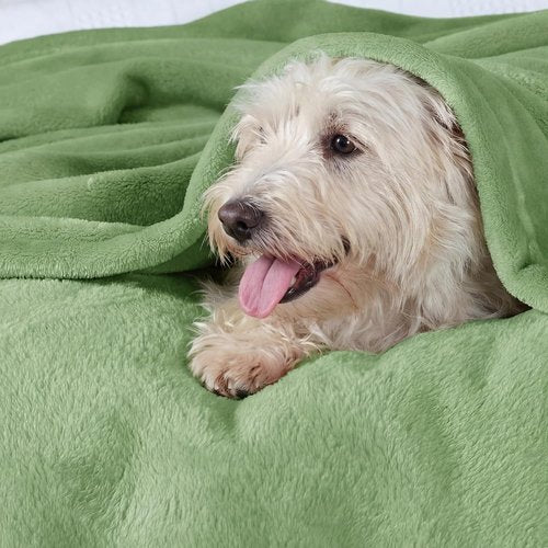 Bedsure GentleSoft Fleece Blanket - Lightweight Plush Cozy Twin Size Green 60x80 Inches for Bed & Travel