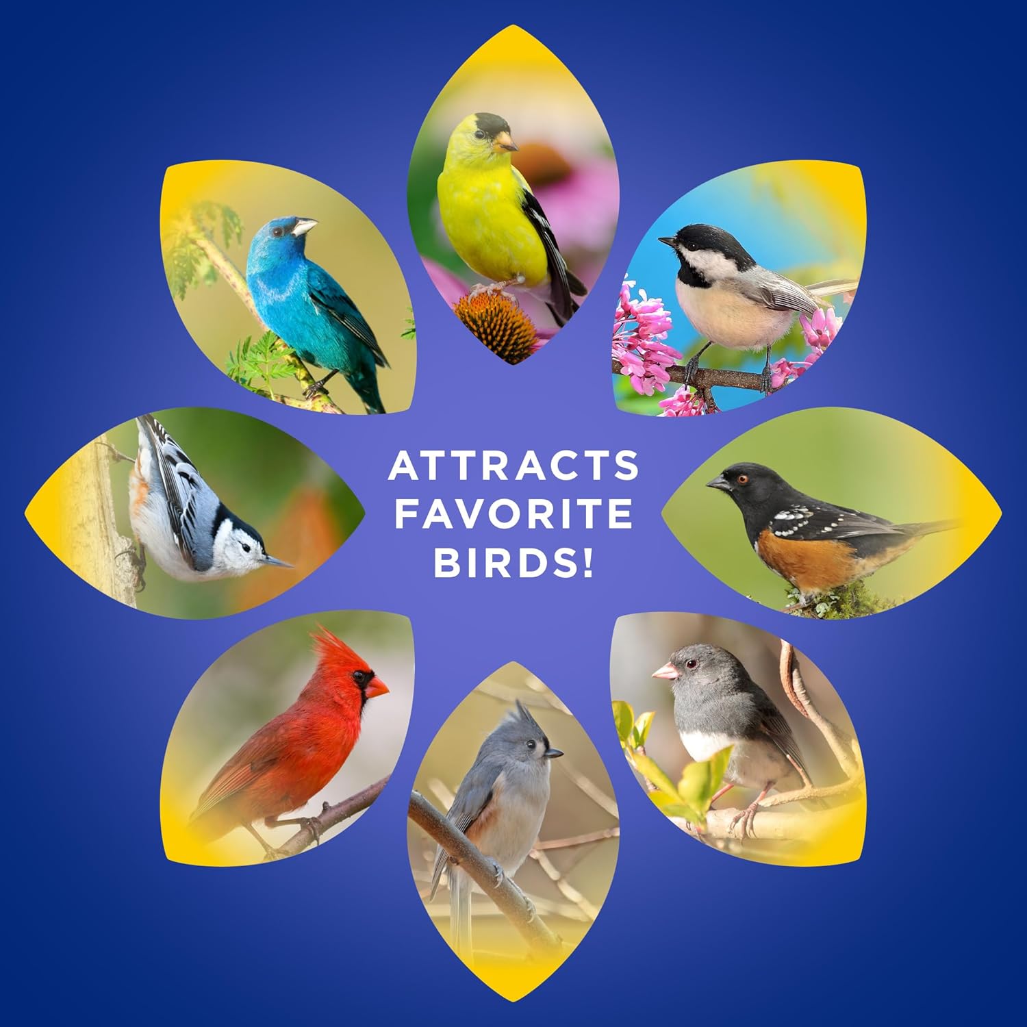 Audubon Park Wild Bird Seed - Extreme Variety for Outdoor Feeders | 15 lb Bag