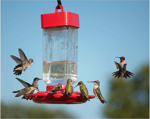 Kaytee Hummingbird ElectroNectar - Ready-to-Use Wild Bird Food, 64 Ounces for Vibrant Hummingbirds