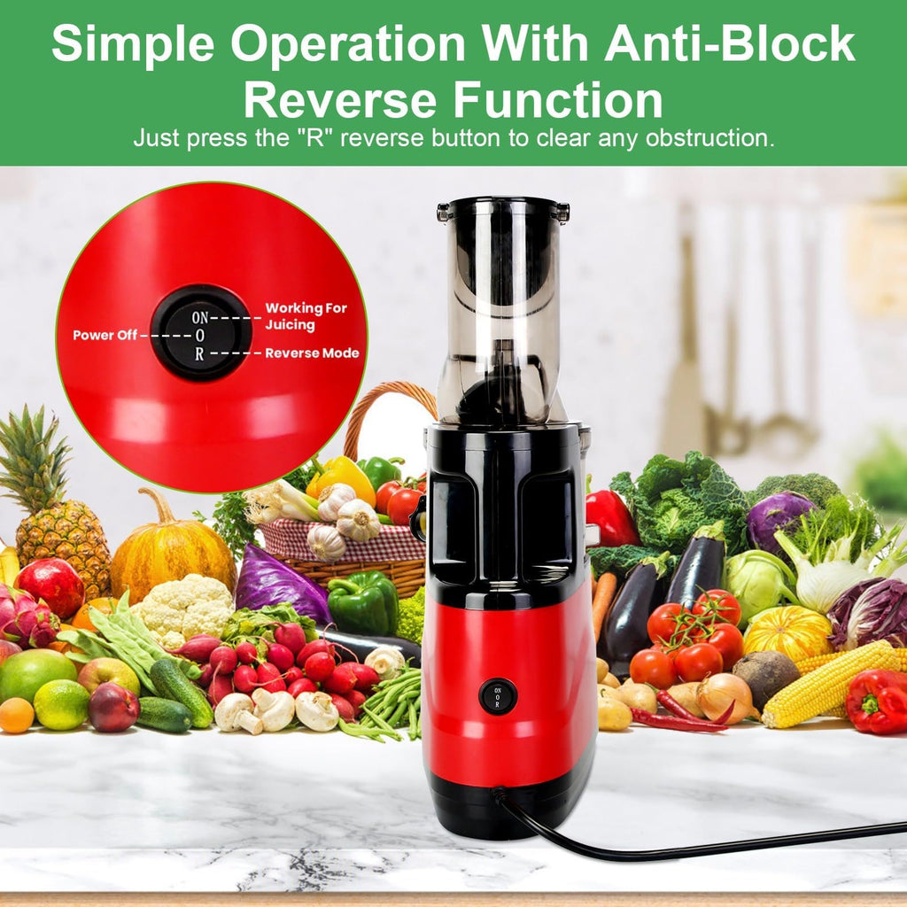 TeqHome Cold Press Juicer,300W Electric Masticating Juicer Machines with 3" Large Feed Chute for Whole Fruits and Vegetables,Upgraded High Juice Yield Juice Extractor Machine with 2 Cups,Easy to Clean