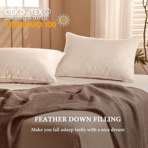BHZ Goose Down Feather Pillows - Queen Size Set of 2 | Medium Firm Soft Support for Side & Back Sleepers