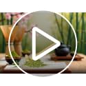 Japanese Chashaku Matcha Scoop - 18cm Bamboo Tea Spoon