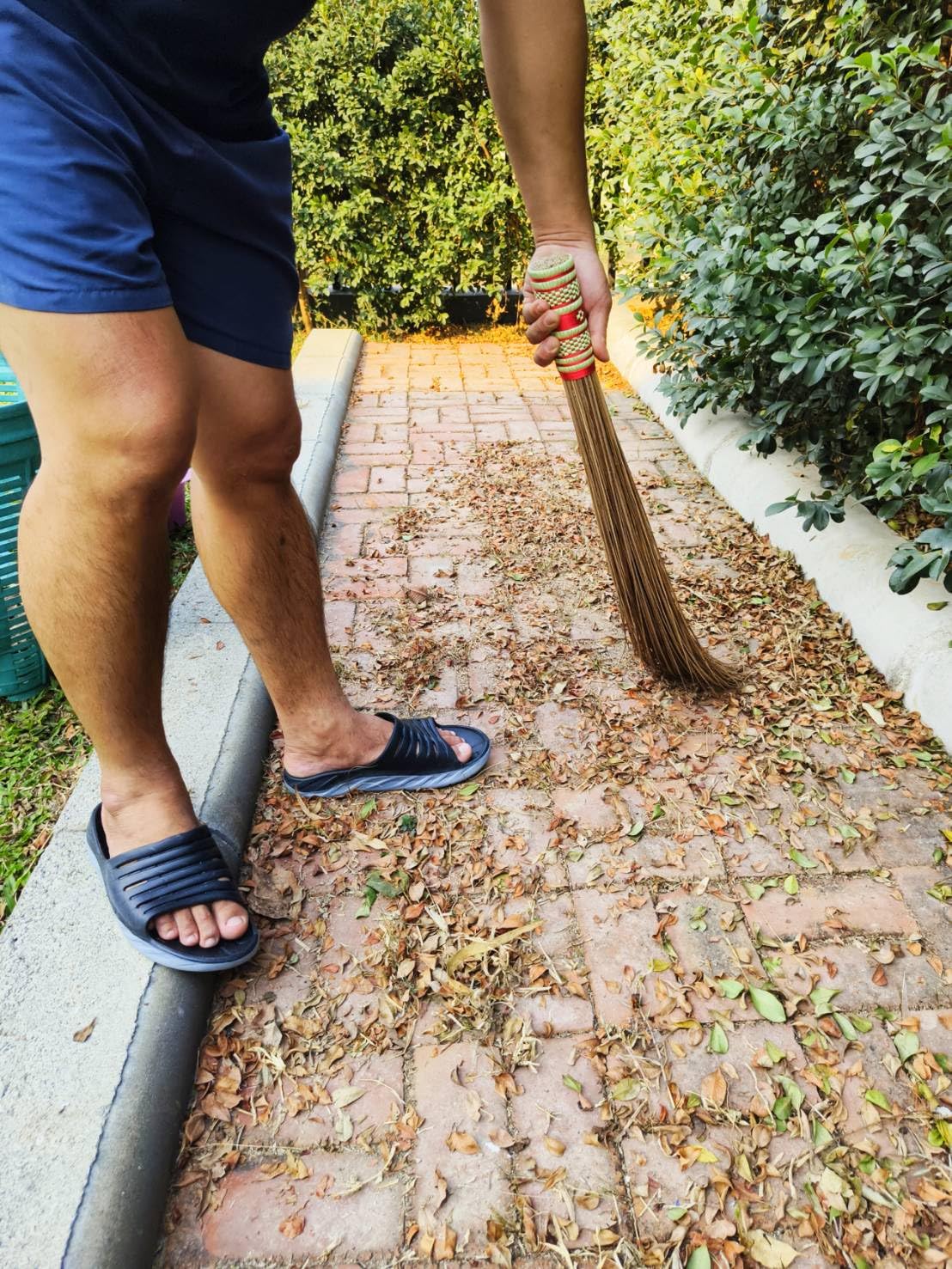 32 inch Multi-Surface Sturdy Outdoor Authentic Coconut Leaf Broom Asian Heavy Duty Broom Thai Natural Coconut Leaf Broom (Country Rustic) 1 Piece