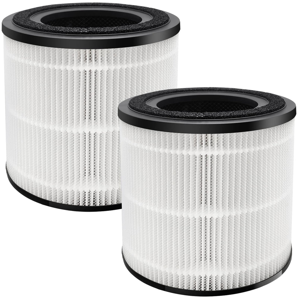 Filters Compatible with BISSELL MYair Pro Air Purifier 3139A 3139B, 3139A Replacements Filter, 3069