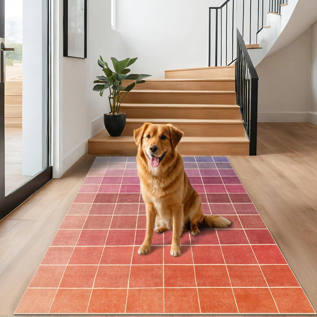 Skiennix Ombre Pink and Orange Area Rug - Washable Non-Slip Design for Living Room | 5x7 Size