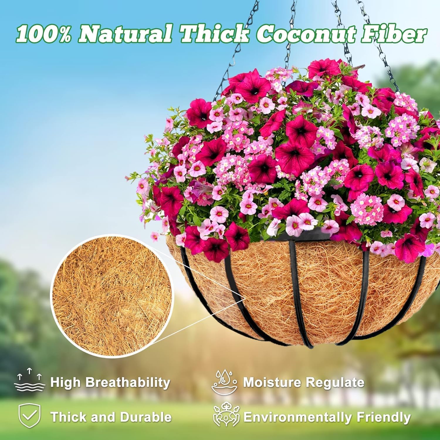 Y&M 14" Round Coconut Fiber Liner - Pre-Formed Replacement for Hanging Baskets | 2 Pack