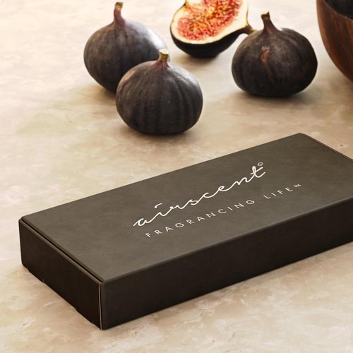 AirScent Hotel Diffuser Oil Gift Set - 5-Star Hotel Scents - 10 mL Fragrance Oil Collection | Inspired by Fairmont & White Tea