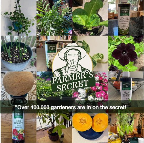 Farmer’s Secret Fruit & Bloom Booster Fertilizer - Super Concentrated 8oz | Enhances Flowering & Yield for All Plants