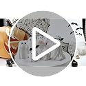 Cute Ghost Figurine Tabletop Decoration | Funny Halloween Statue