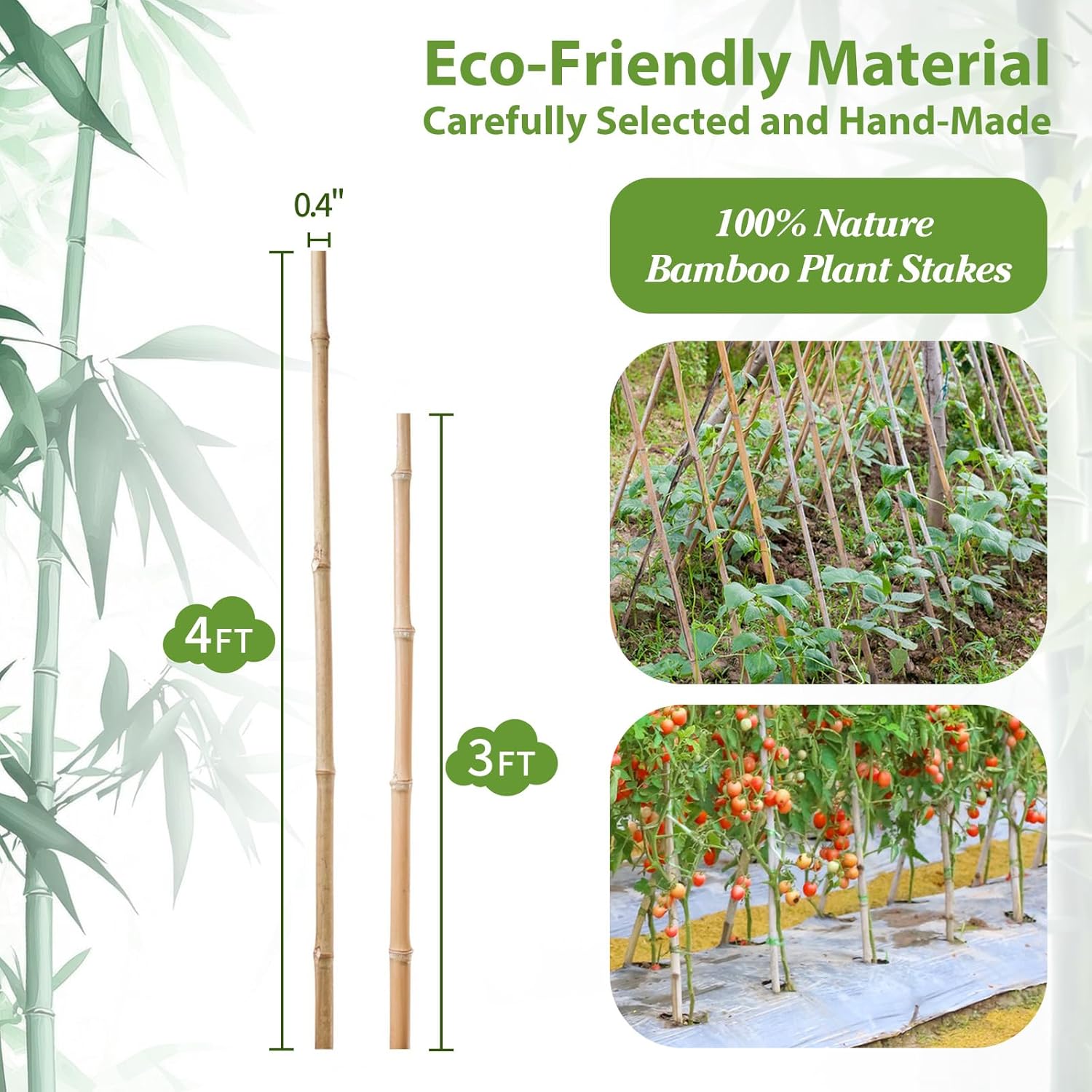 Bamboo Plant Stakes by [Brand Name] - 4FT Natural Bamboo Garden Stakes | 25Pcs for Tomatoes, Beans & Climbing Plants