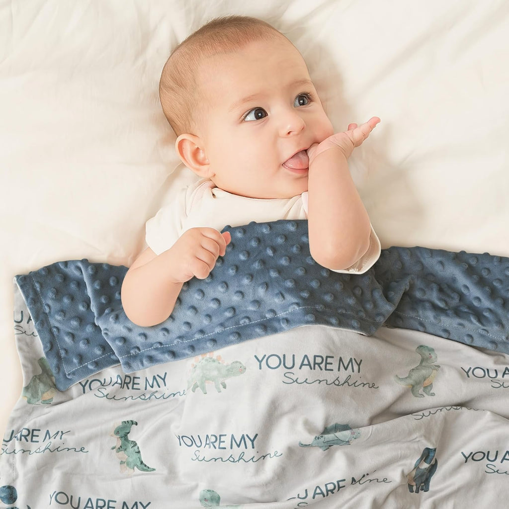 Skiennix Dinosaur Baby Blanket - Super Soft Double Layer Minky Nursery Throw (30" x 40") - Blue