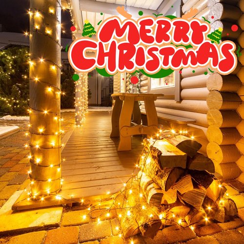 echosari 200 LED 66ft Christmas String Lights Battery Operated, Battery Christmas Lights with Remote Timer Outdoor Fairy Lights for Wreath Party Trees Decor (Warm White)
